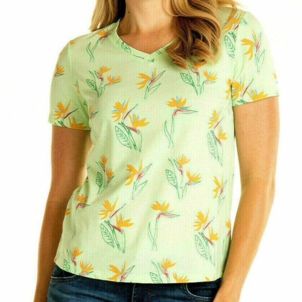 New Fresh Produce XS Aloe Green Birds‎ Of Paradise